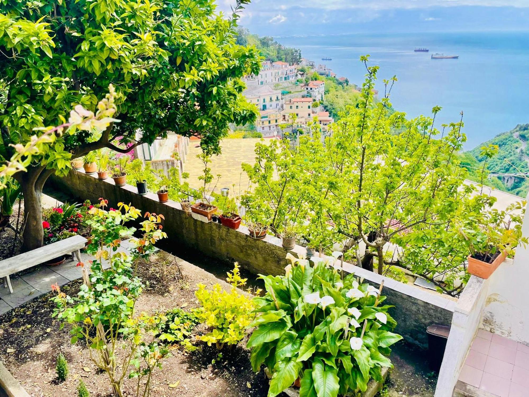 Borgo Virginia - Sea View In Amalfi Coast Apartment Vietri sul Mare Exterior photo